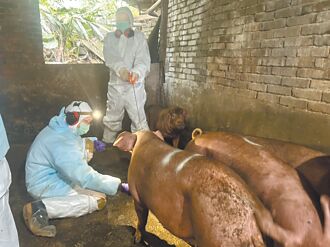 端午包粽 跨境寄豬肉最高罰300萬