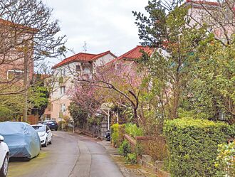 桃園 明年增13里 樂善里全市最大