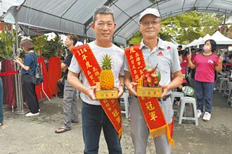 高雄 凤梨、荔枝评鑑 大树区夺双冠