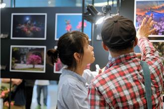 美照＋種樹！萬金杜鵑攝影展結合贈苗 百株烏來杜鵑免費送