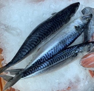 吃魚抗癌防血栓 專家激推3種魚：EPA特別多