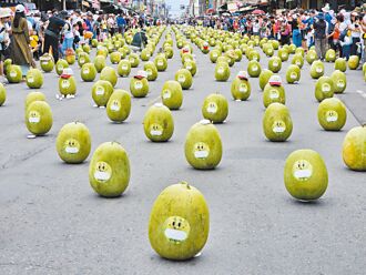 佳冬 端午不立蛋 888颗西瓜站满街