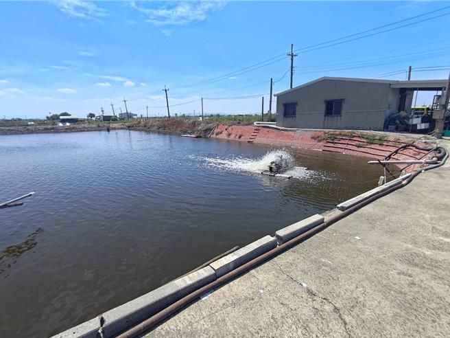 高雄茄萣区6月1日发生鱼塭落水案。（民眾提供／纪爰高雄传真）