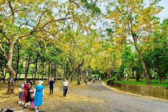 虎頭埤阿勃勒花季超展開 一起健走超慢跑賞花拿好禮