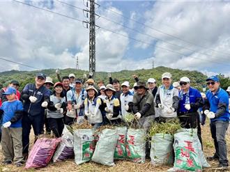 桃園提前啟動除「蔓」計畫 每公斤8元收購