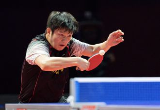 桌球》樊振東宣布加入德甲聯賽 新東家驚呼「一切來得太突然」
