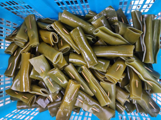 海帶上的牙籤衛生嗎？菜販給答案：吃完別順便剔牙