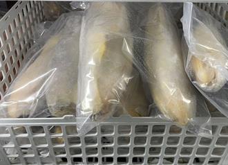 大陸進口小黃魚驗出禁藥！千公斤魚全售出、已回收400公斤