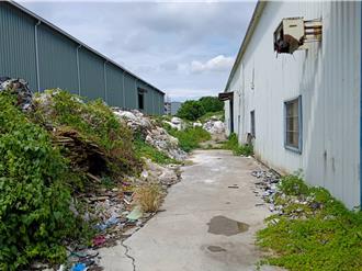 租地竟變垃圾場！地主自掏數百萬清理廢棄物崩潰喊冤