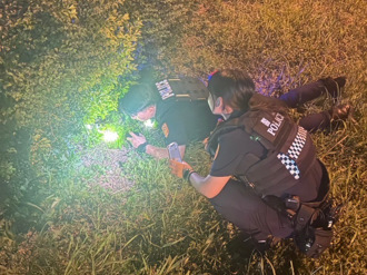 幼猫闯国道险酿祸 三重警「零食＋喵喵叫」神救援