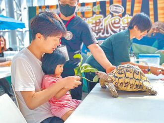 端午連假 百貨人潮比去年多5％