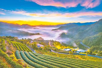 台灣5大祕境 坪林上榜