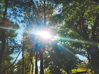 高溫拉警報 謹記3要訣防熱傷害