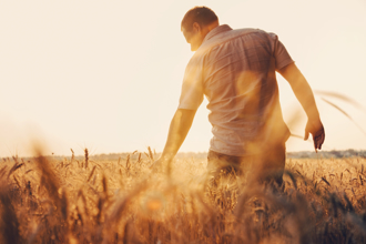 「芒種」當心血光！4生肖運勢急轉直下 掌握2招能化煞