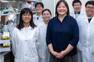 果蝇、小鼠实验验证！阳明交大找到帕金森氏症治疗新靶点