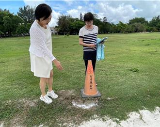 雲林疑有紅火蟻出沒咬傷兒童？北港公所揭品種：已噴藥防治