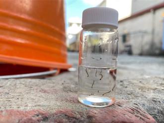 梅雨季报到降雨增 登革热境外移入写6年同期次高