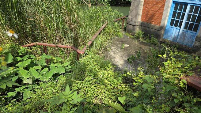 有民眾发现，近日基隆市暖暖区的百年帮浦间不仅楼梯围上警戒线，还杂草丛生，质疑歷史建物没有妥善维管。（读者提供／张志康基隆传真）