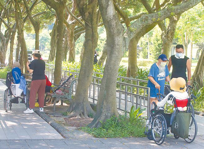 卫福部5月21日预告修正《长期照顾服务人员训练认证继续教育及登录办法》部分条文，增订申请认证消极资格。示意图为照顾者陪长者到公园，非新闻当事人。（本报资料照片）