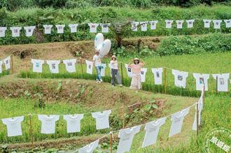 「貢寮水T藝術節」徵件中  6月底登場 千件「水T」旗正飄飄！