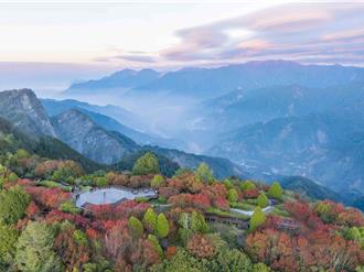 兼顧森林保育與觀光 阿里山森林遊樂區奪永續旅遊金級獎