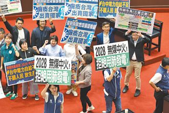 2028無煤中火 藍白聯手通過