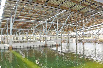 嘉縣 漁電共生案場 力拚產銷履歷