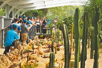 墾丁森林遊樂區 多肉綠洲回歸