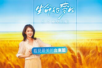 林美贞避谈孙兴 靠演戏得安慰