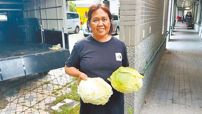 印尼籍女子法蒂拉与丈夫种植的高丽菜遭摊商弃单，所幸在友人协助下于网路发文，短时间内顺利将20篓蔬菜全数售罄。（民眾提供／萧嘉蕙台东传真）