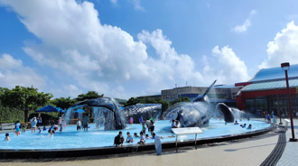 墾丁1景點CP值超高 去過全推爆：贏日本的