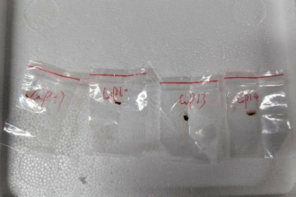 美控陸研究員密謀走私作物死亡菌 疑要恐攻美糧食供應