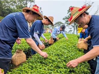 推廣食農教育！企業攜手深坑農會體驗友善耕作