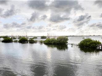 雲林成龍村變遷成氣候教材 環境部短片結合布袋戲宣導氣候變遷