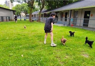 動保最友善城市在桃園！六都好感度奪冠