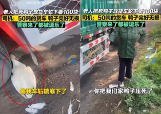 碰瓷新招？大媽丟死鴨到輪下索賠償 貨車司機「傻眼了」