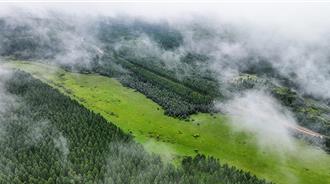 陸生態環境狀況報告公布  這些省分生態品質最佳