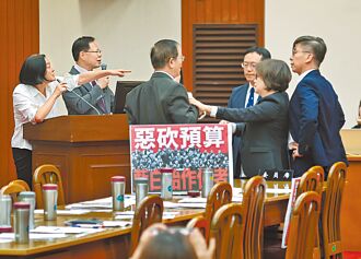 擬修法刪具體補助 學者批惡搞