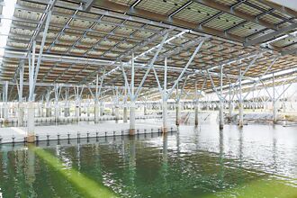 審計部揭漁電共生「假數據」 藍青年曝唯一獲利者