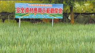 農業科技助攻 三星蔥穩產