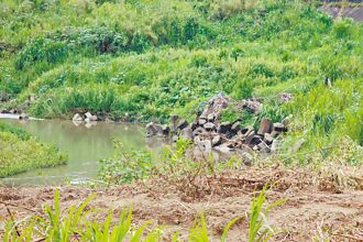 淹怕了 嘉縣金興村喊增抽水機