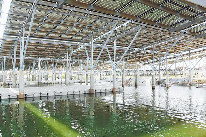 太阳光电业者不满渔电共生下方养鱼认定採「定量」过苛，纷要求採「产销履歷」认定即可。（本报资料照片）