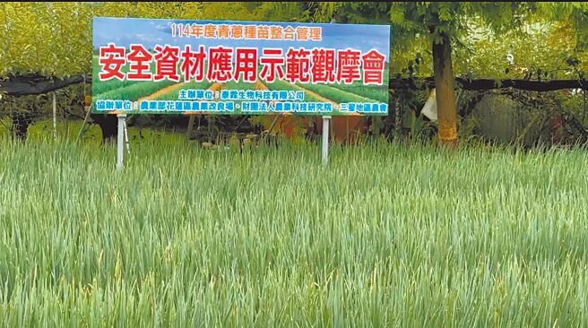 农业部启动「青葱韧性稳产栽培技术扩散计画」，由泰霖生物科技公司技转农改场技术，并在宜兰县三星地区农会协助下，将健康葱苗栽培技术全面推广，让「绿金传奇」重返荣耀。（三星地区农会提供／吴佩蓉宜兰传真）