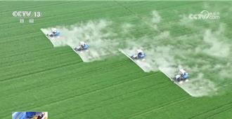 守護中國飯碗  糧食流通領域定義綠色智慧儲糧新模式