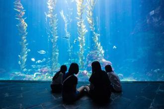 淨灘、義賣、VR潛水全都有！海生館「魚樂無窮」迎世界海洋日