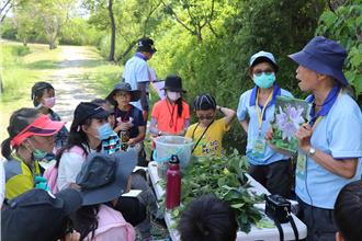 新北濕地夏令營7月登場！探索生態、認識抽水站 6／7開放報名