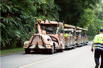 台北市立動物園改善環境 6／18起休園10天