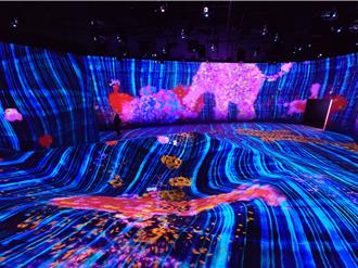 日本人氣teamLab特展登高雄 團隊曝互動靈感來自台灣