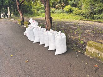 廢棄物亂扔農路 恐影響稻作