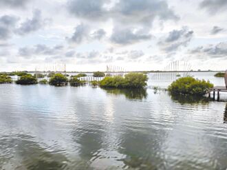 雲林成龍村 成氣候變遷活教材